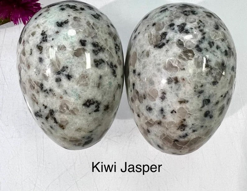 Kiwi Jasper